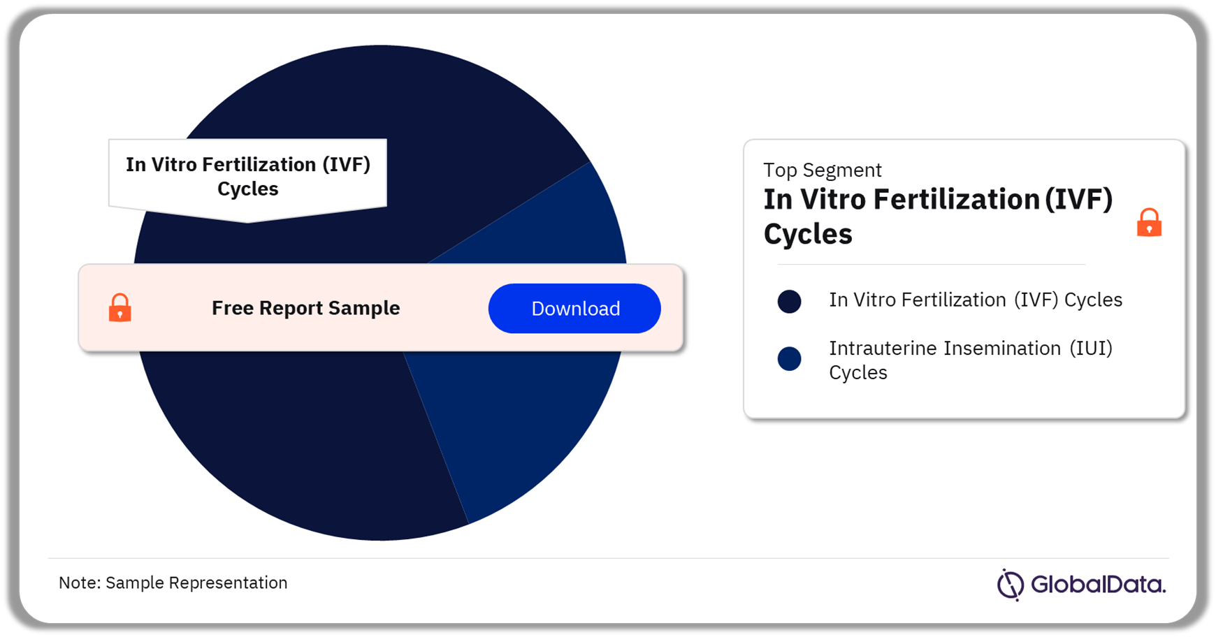 Spain ART Procedures Market Analysis by Segments, 2022 (%)