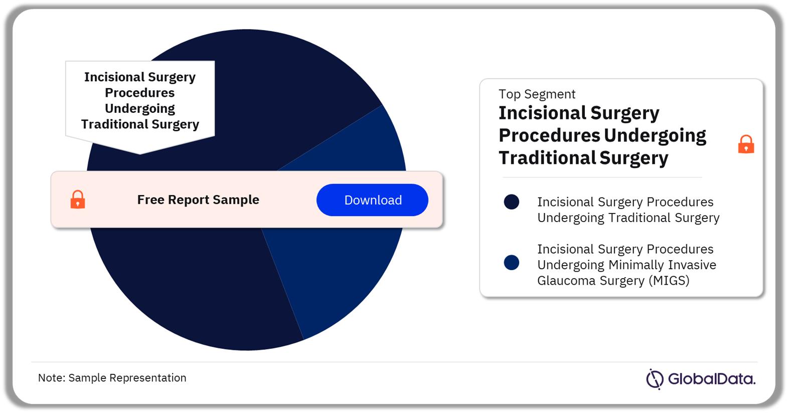 South Korea Glaucoma Procedures Market Analysis by Segments, 2022 (%)