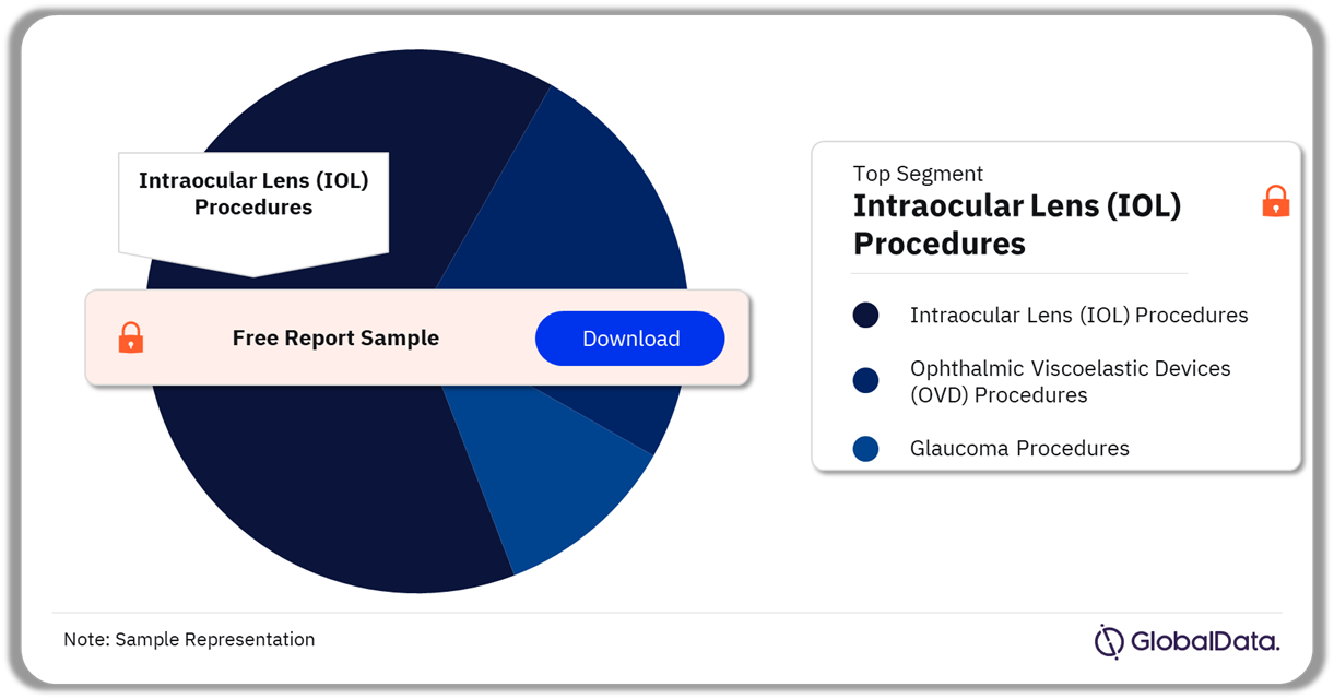 Brazil Ophthalmic Procedures Market Analysis by Segments, 2022 (%)