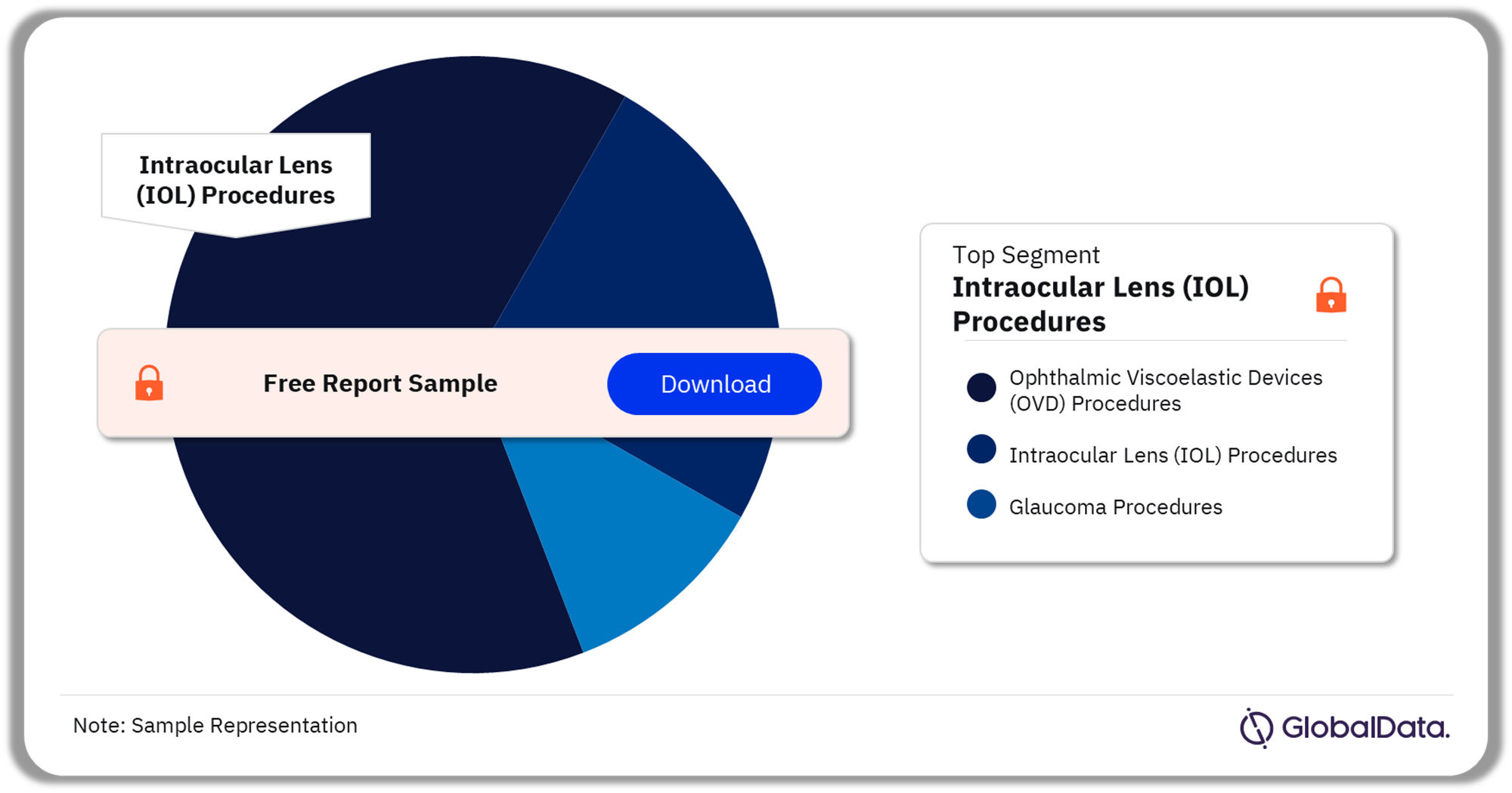 Mexico Ophthalmic Procedures Market Analysis by Segments, 2022 (%)