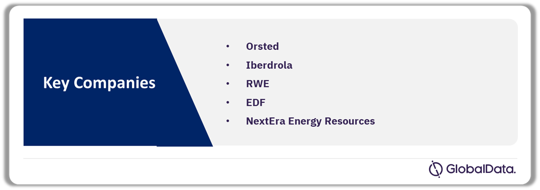 Net Zero Strategies in the Power Market Analysis by Companies