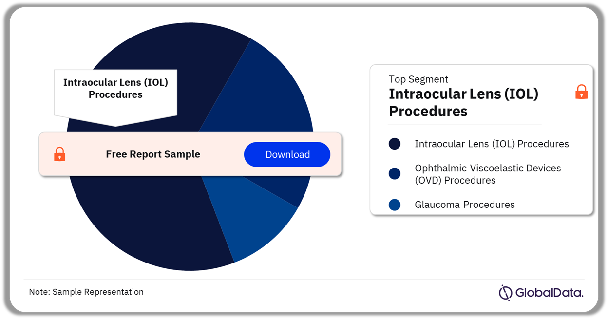 Russia Ophthalmic Procedures Market Analysis by Segments, 2022 (%)