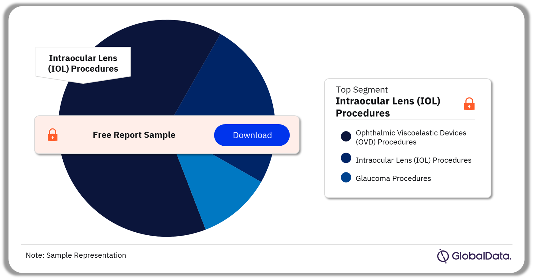 South Korea Ophthalmic Procedures Market Analysis by Segments, 2022 (%)