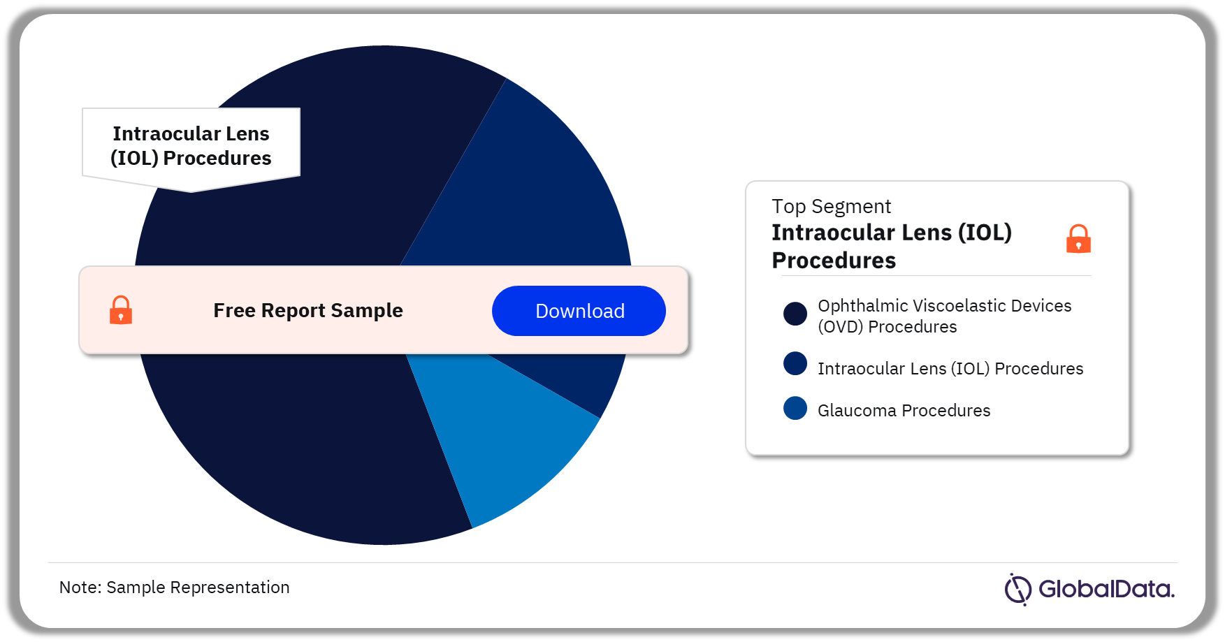 Spain Ophthalmic Procedures Market Analysis by Segments, 2022 (%)