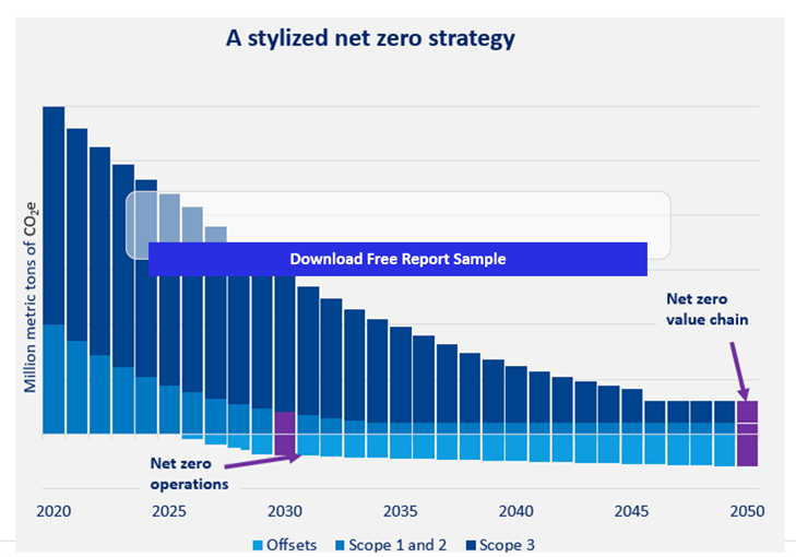 A Stylized Net Zero Strategy