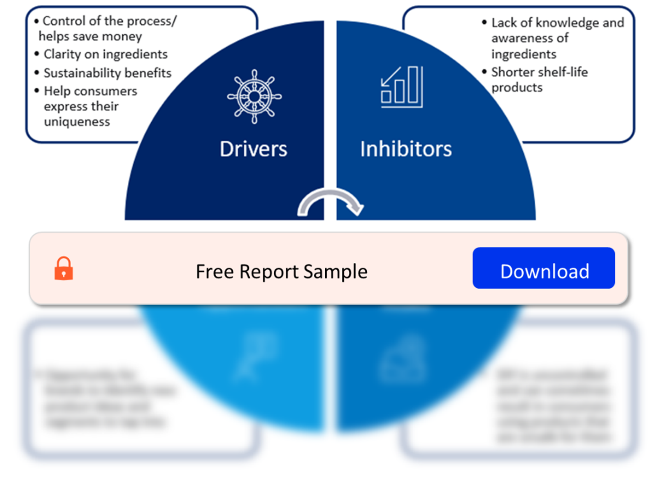 Drivers and Inhibitors for DIY Beauty