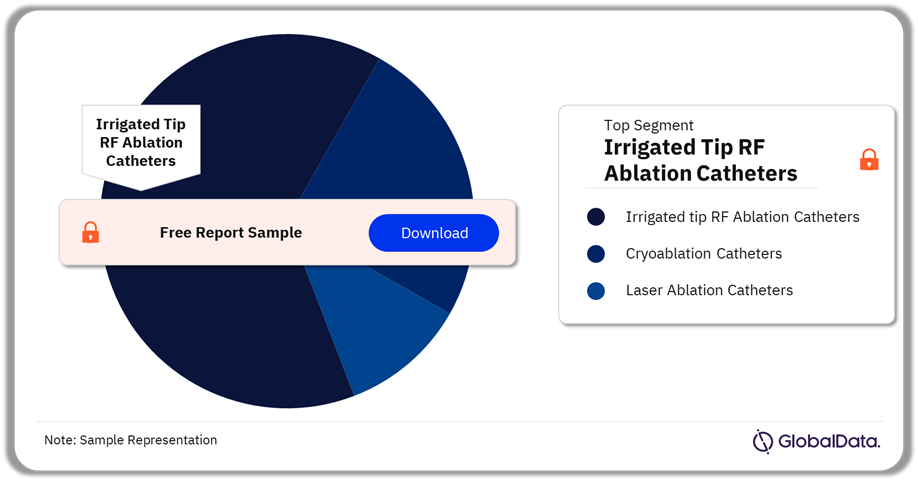 Advanced Ablation Catheters Pipeline Market Analysis by Segments, 2024 (%)