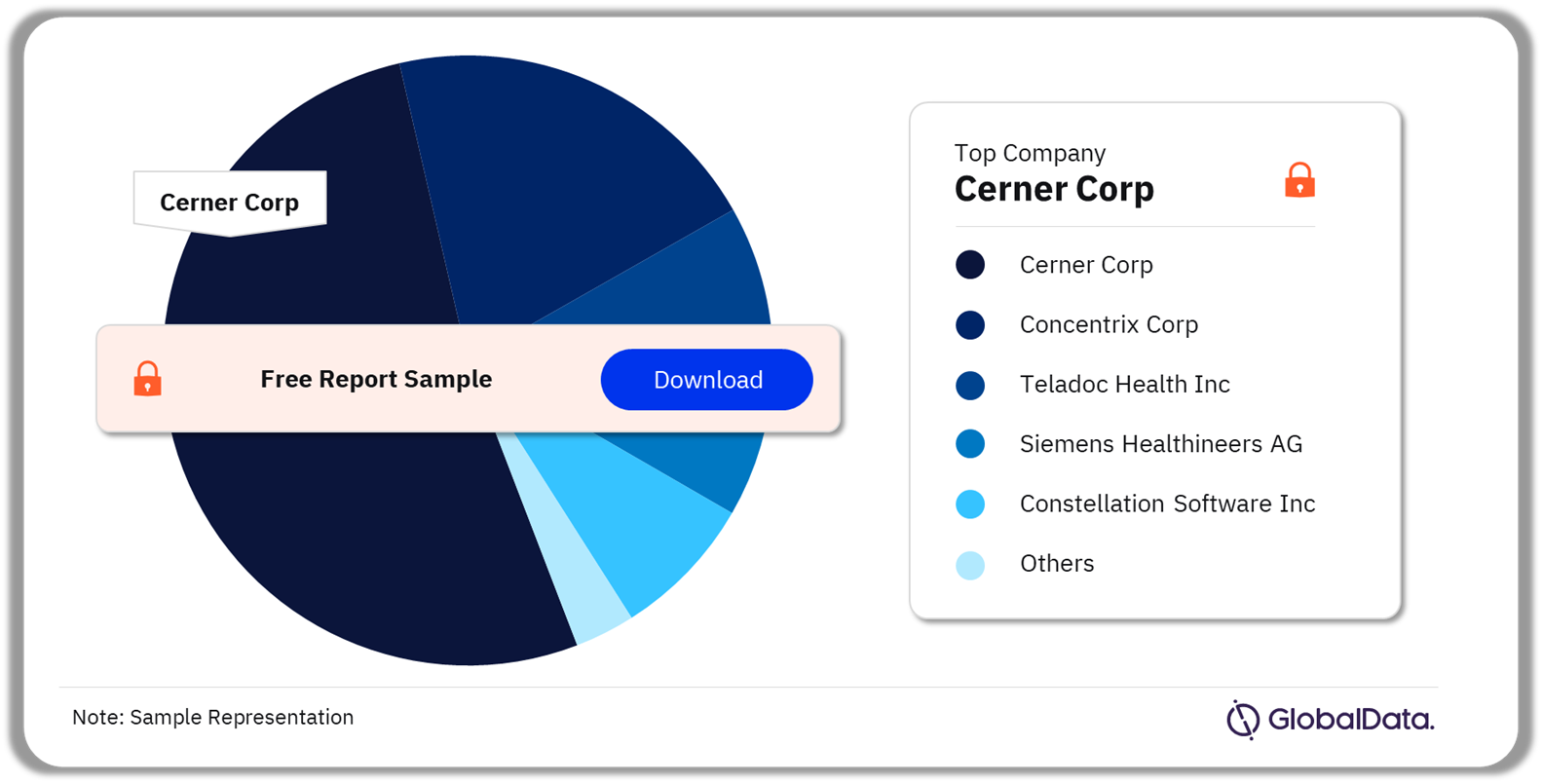 China Digital Health Market Analysis by Companies, 2023 (%)
