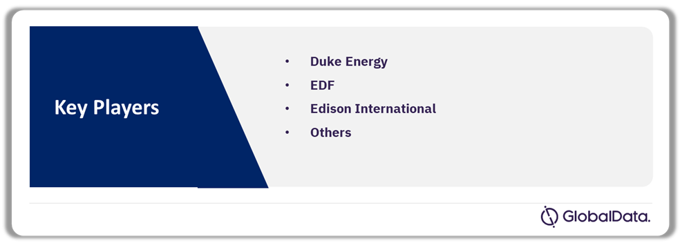 Leading Companies in the Distributed Power Generation Industry