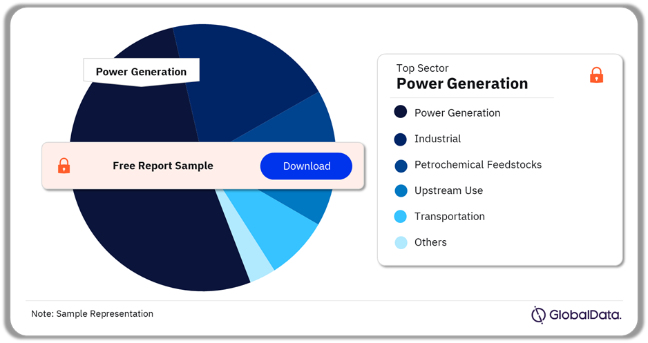 Southeast Asia Natural Gas Market Analysis by Sector, 2024 (%)