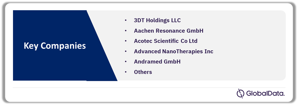 PTCA Balloon Catheters Pipeline Market Analysis by Companies, 2024