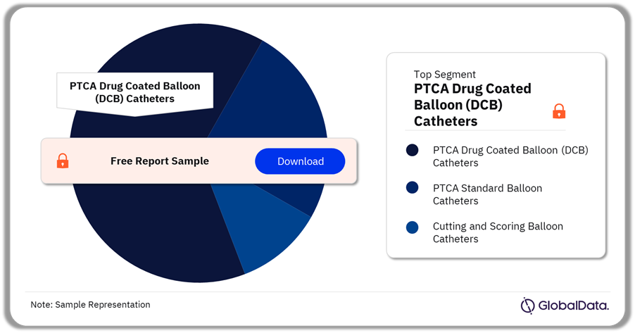 PTCA Balloon Catheters Pipeline Market Analysis by Segments, 2024 (%)