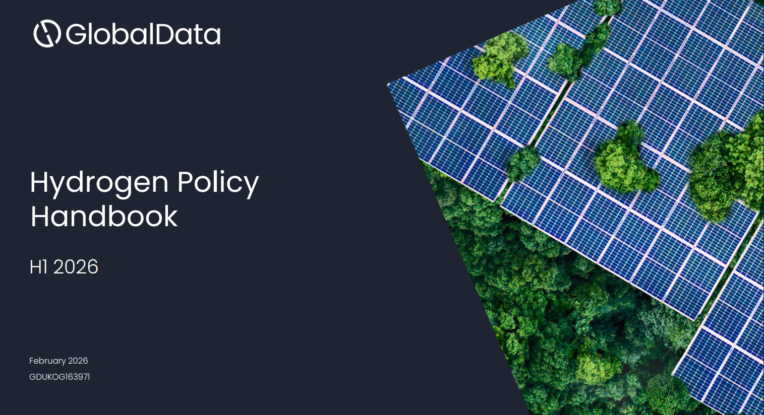 Hydrogen Policy Handbook, H1 2026 standard reports
