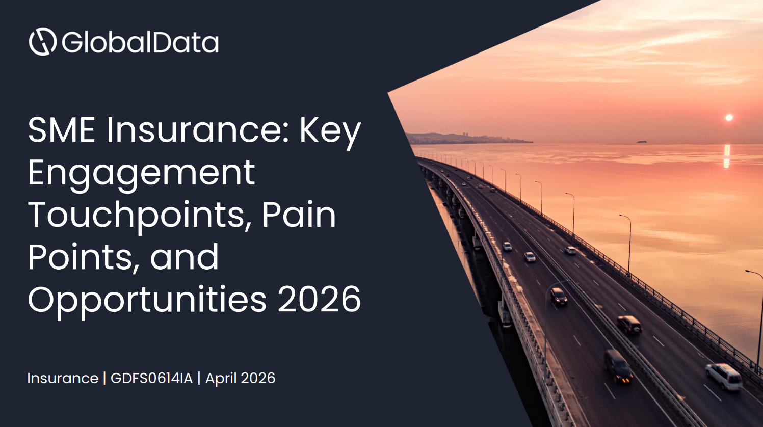 SME Insurance: Key Engagement Touchpoints, Pain Points, and Opportunities 2026 standard reports