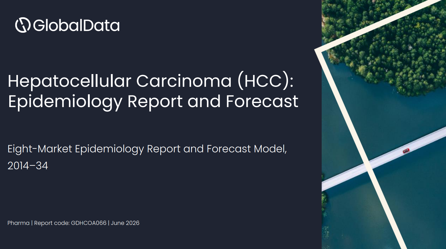 Hepatocellular Carcinoma (HCC): Epidemiology Report and Forecast to 2035 standard reports