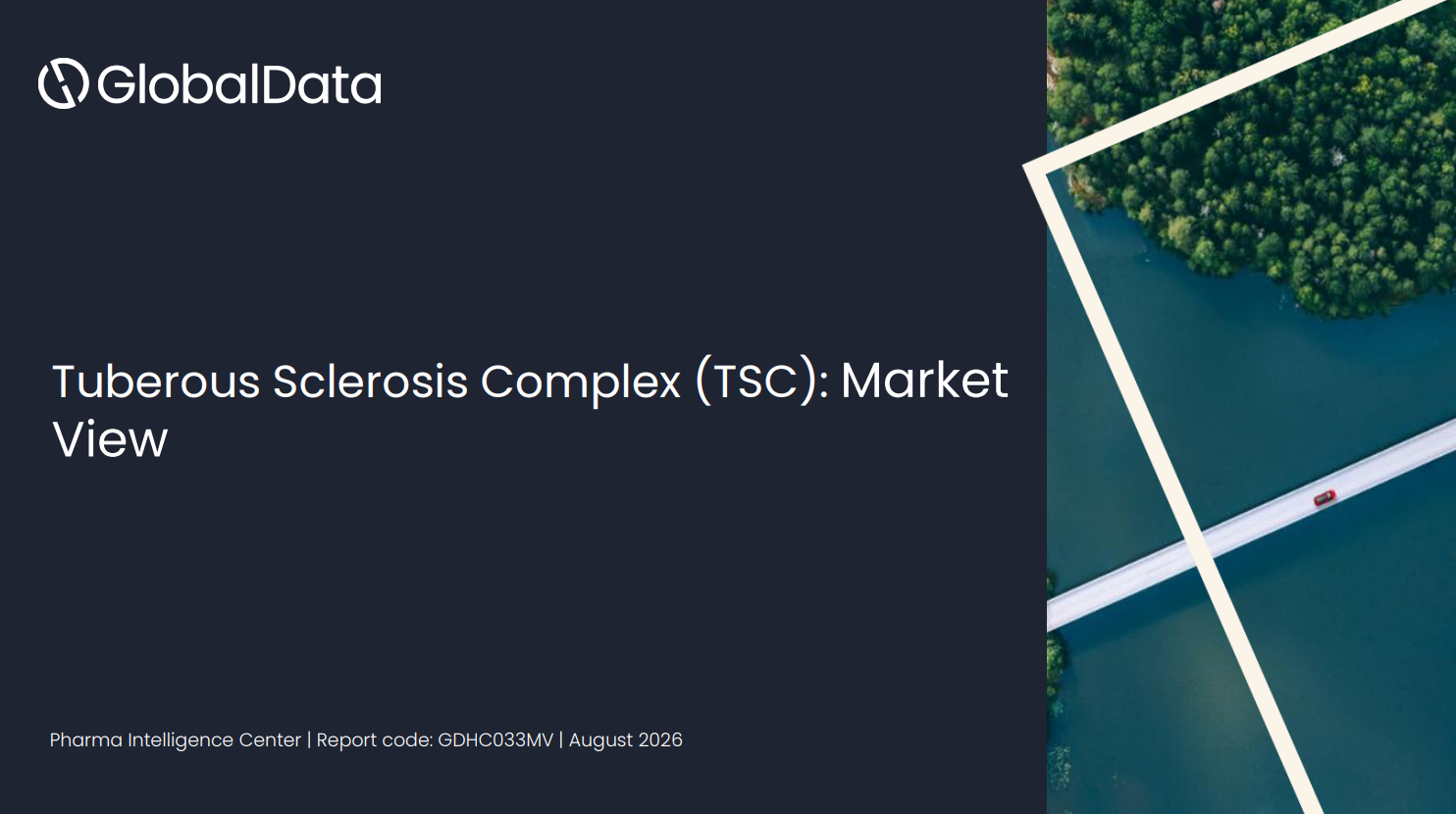 Tuberous Sclerosis Complex (TSC): Market View, Current and Future Competitive Landscape standard reports